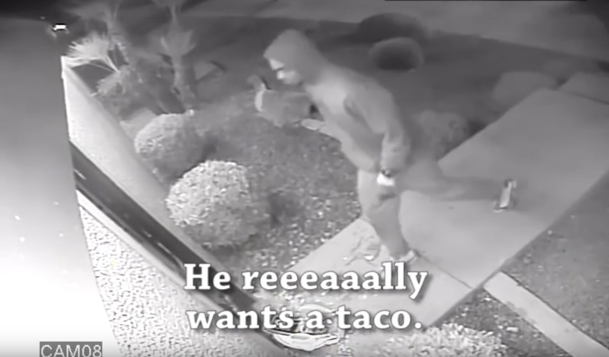 video della rapina tacos 2