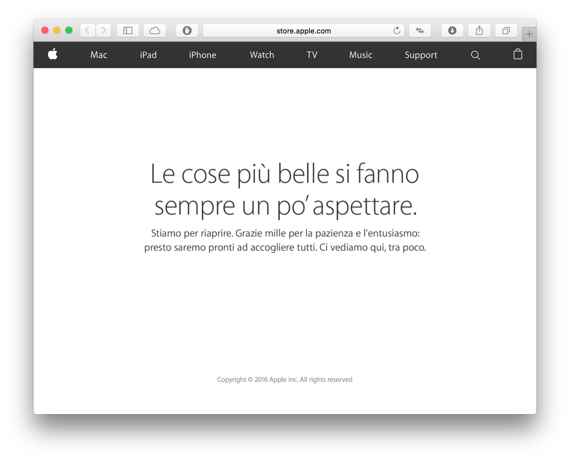 primi ordini di iPhone SE