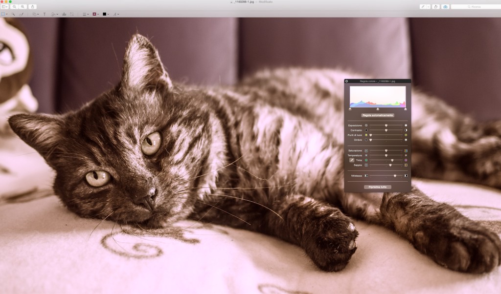 Schermata 13-03-16 14-43