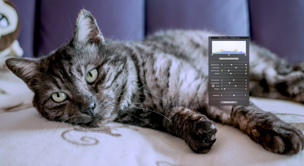 Schermata 13-03-16 14-44