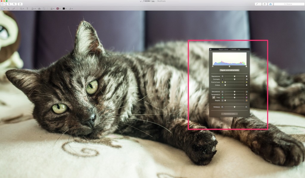 regola colore anteprima