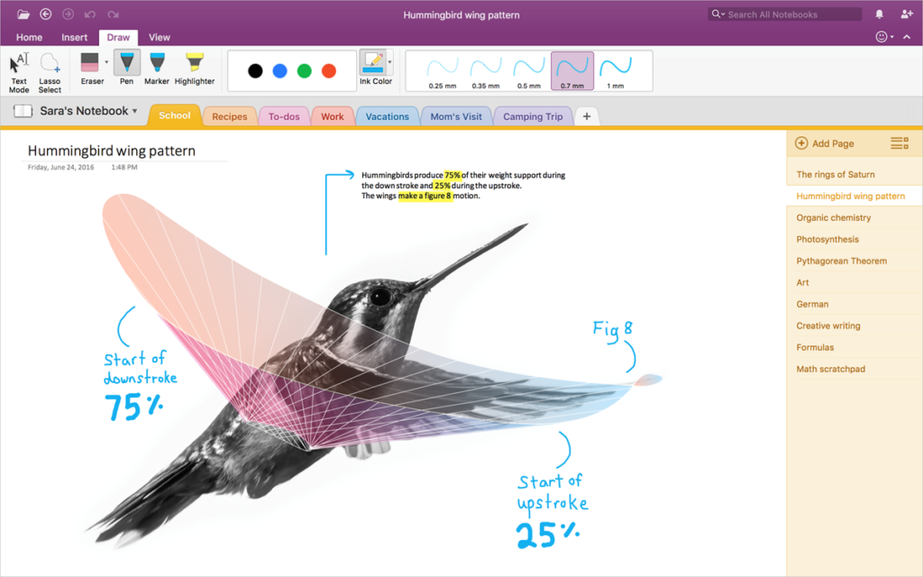 Microsoft OneNote Importer