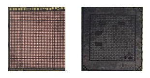 iPhone7 con modem Intel 2 apple a9 a 10