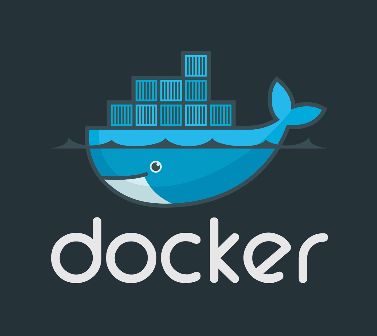 docker logo large_v-dark
