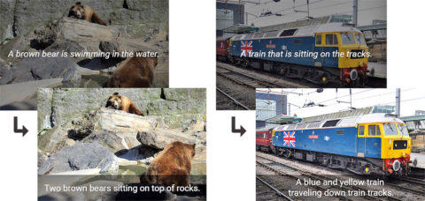 un orso o due orsi marroni che nuotano nell'acqua o stanno seduti sulle rocce