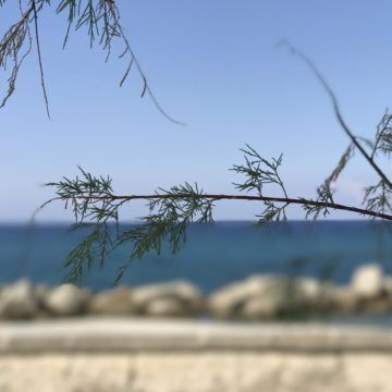 bokeh rami iPhone 7 plus