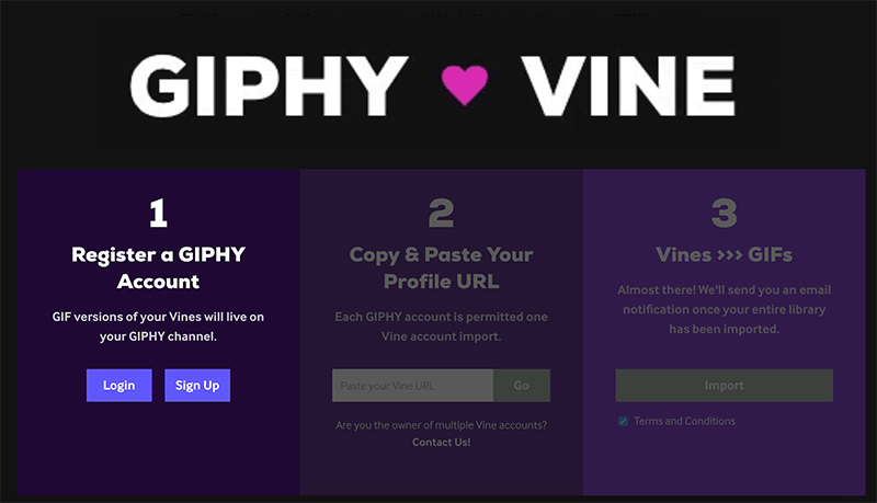 giphy vine
