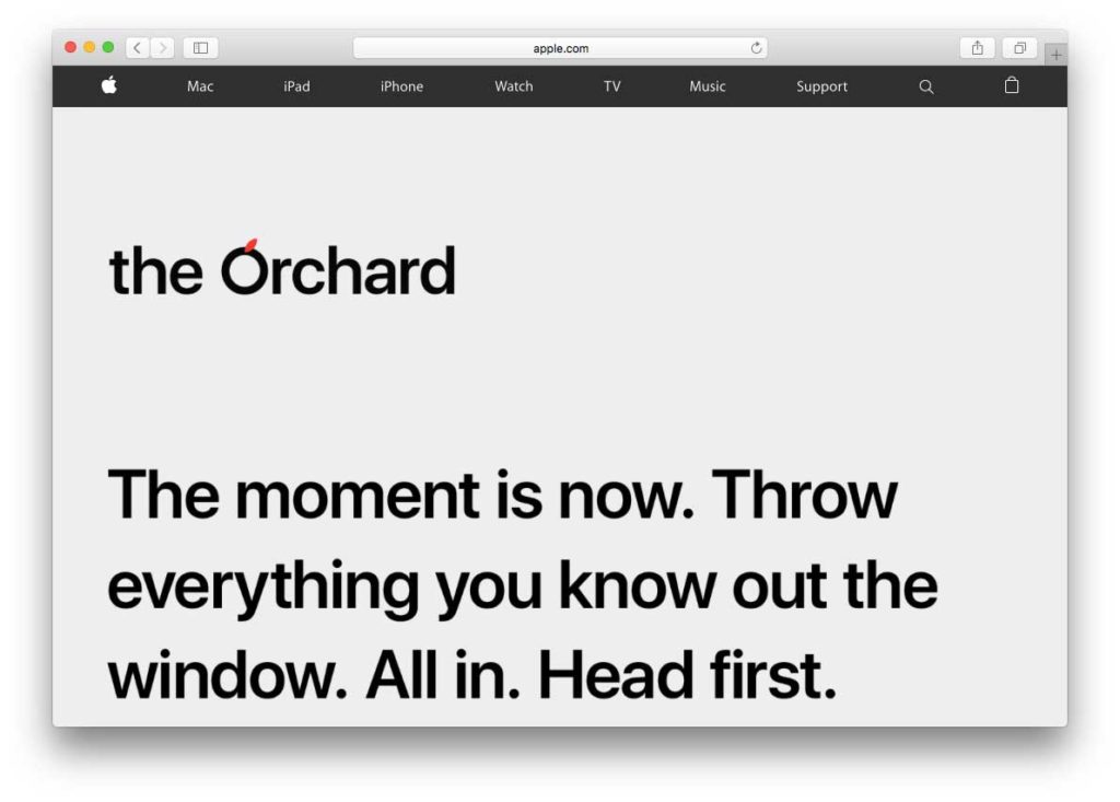 Orchard apple marketing ricerche di lavoro