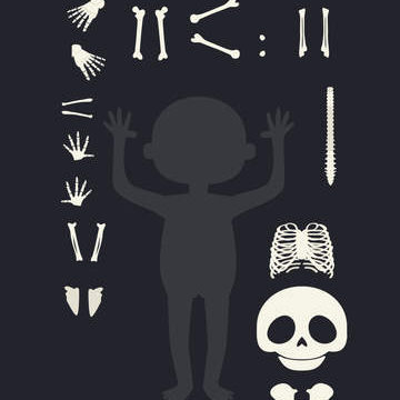 questo e il mio corpo anatomia bambini icona