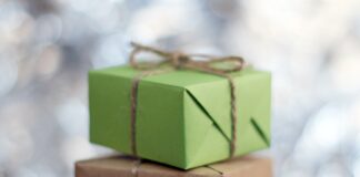 I 10 migliori accessori per chi ama giocare con iPhone e Mac