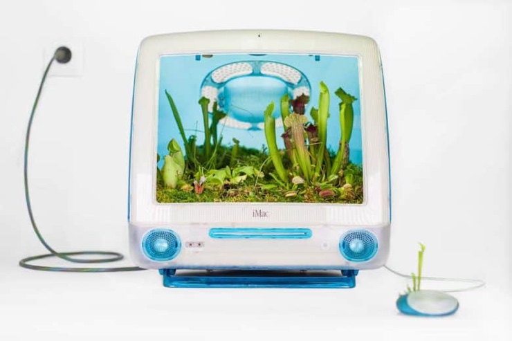Il Mac è arte anche da morto, artista francese fonde vecchi Mac e piante vecchi mac monsieur plant 3