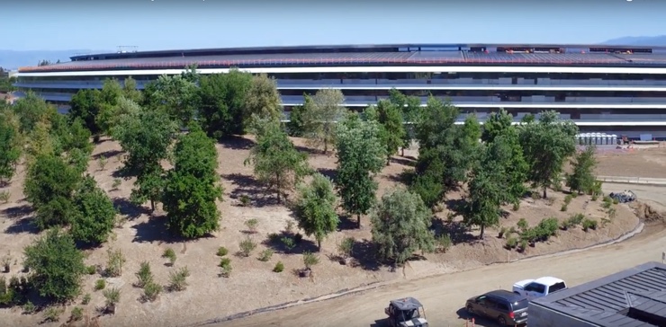 apple park piante maggio 740