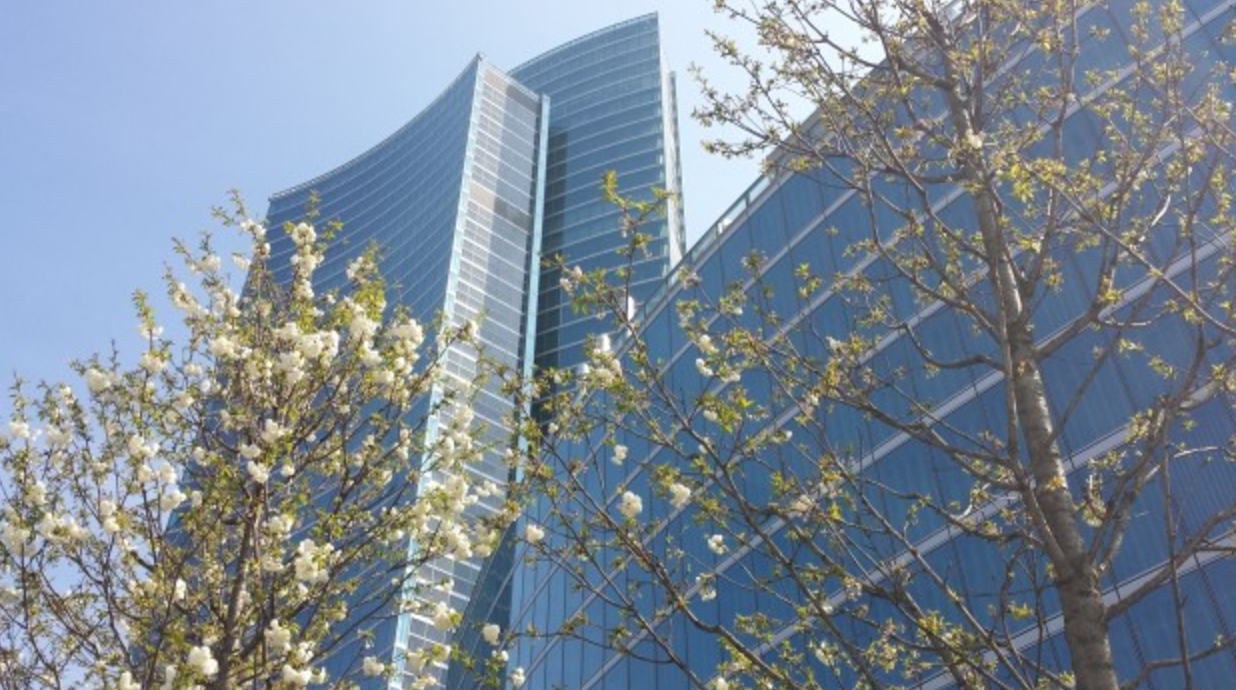 dote unica lavoro espero dote unica ESPERO