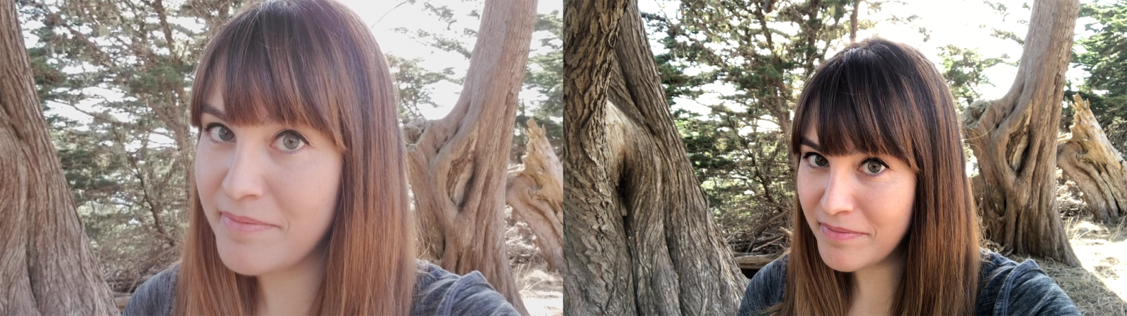 iphone 8 plus contro note 8