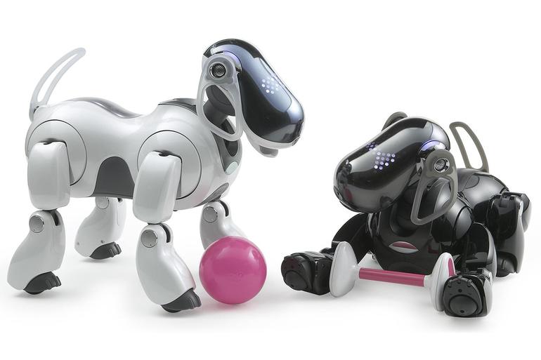 Aibo