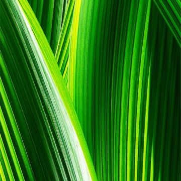 sfondi originali apple 7