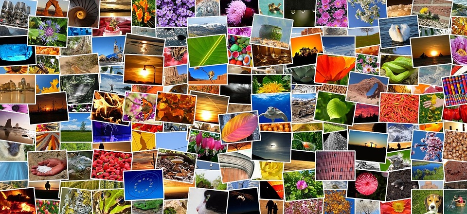 Le Migliori App Gratuite Per Creare Collage Fotografici Su Web