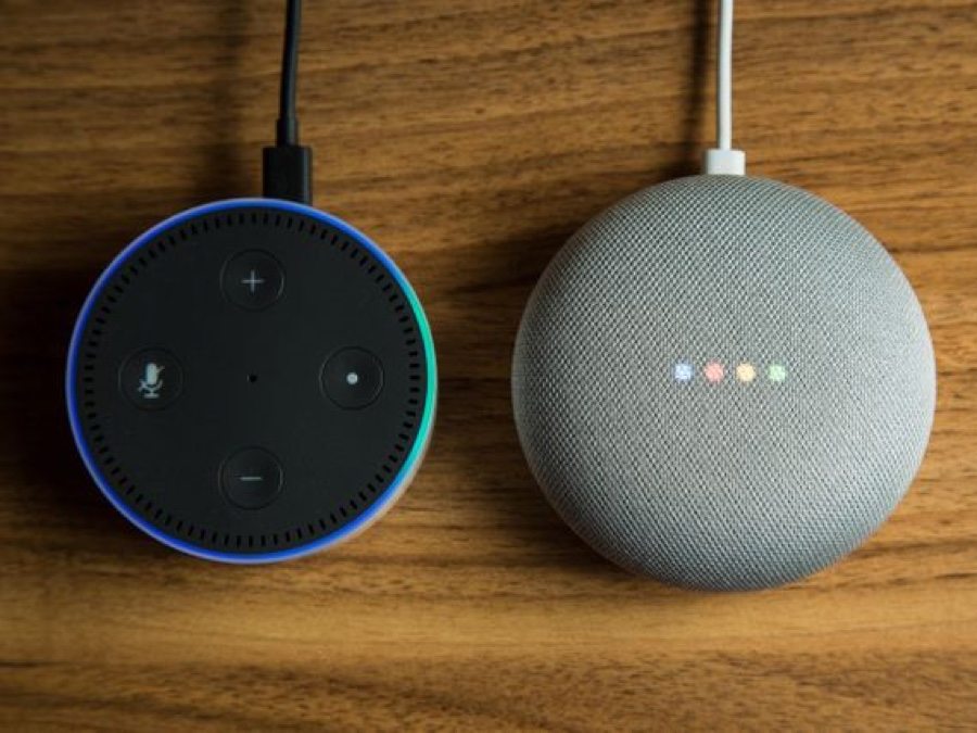 Google Home Mini e Amazon-Echo Dot