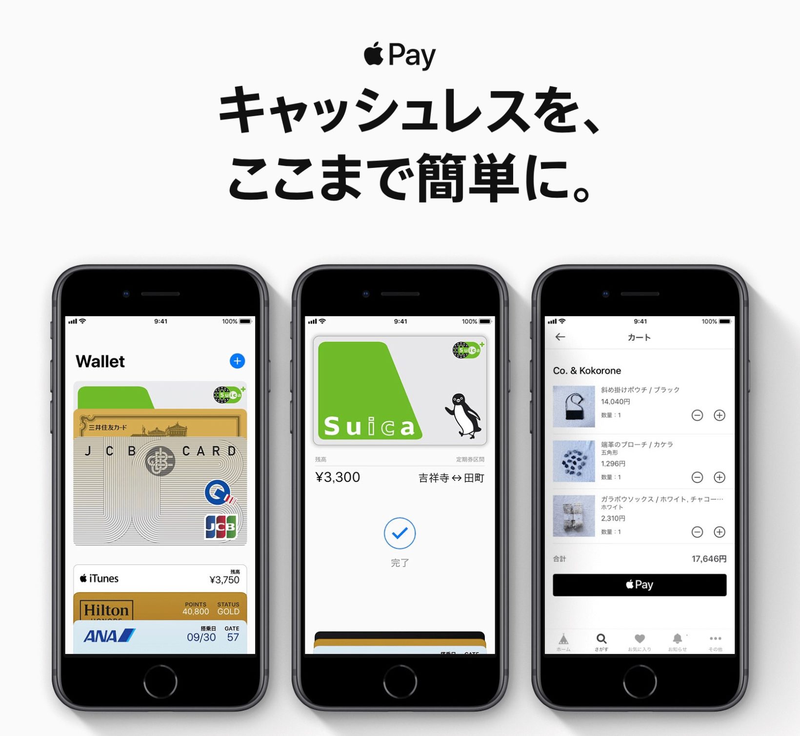 apple pay