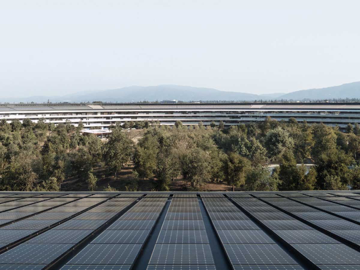 greenpeace daisy apple - foto Apple park