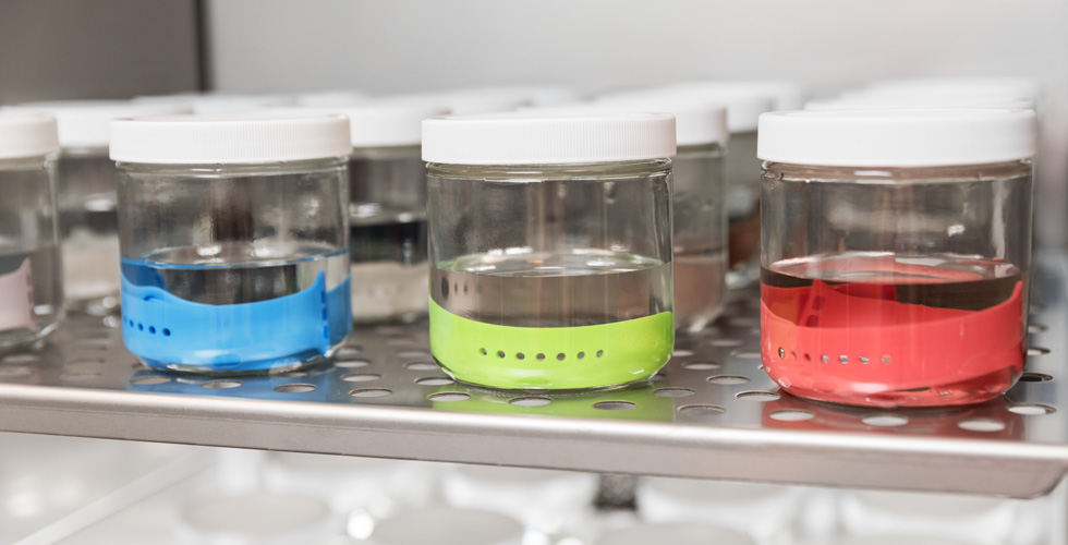 Apple analizzia con particolare attenzione i materiali destinati a entrare a contatto con la pelle. Per esempio, i cinturini di Apple Watch vengono immersi in barattoli di sudore artificiale all’interno di un’incubatrice che simula la temperatura del corpo umano.
