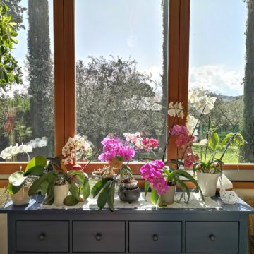 Recensione Huawei P20 Pro