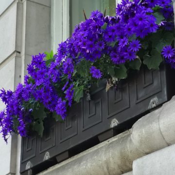 Recensione Huawei P20 Pro