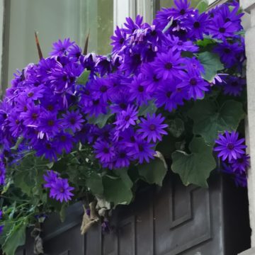 Recensione Huawei P20 Pro