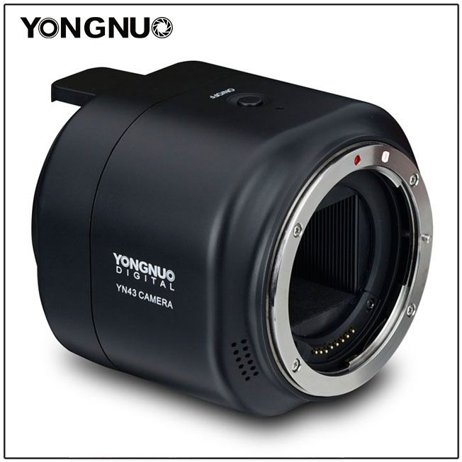 Yongnuo YN43
