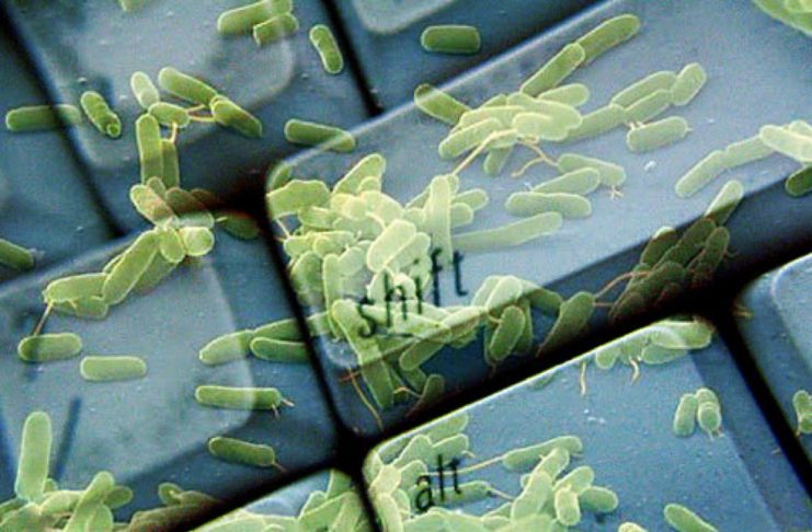 Su computer, mouse e smartphone ci sono più batteri della tavoletta del WC