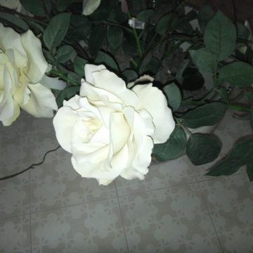 Oukitel WP5000, il mid range più robusto che ci sia