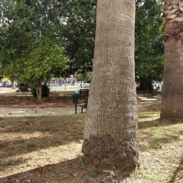 Recensione Razer Phone