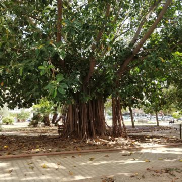 Recensione Razer Phone