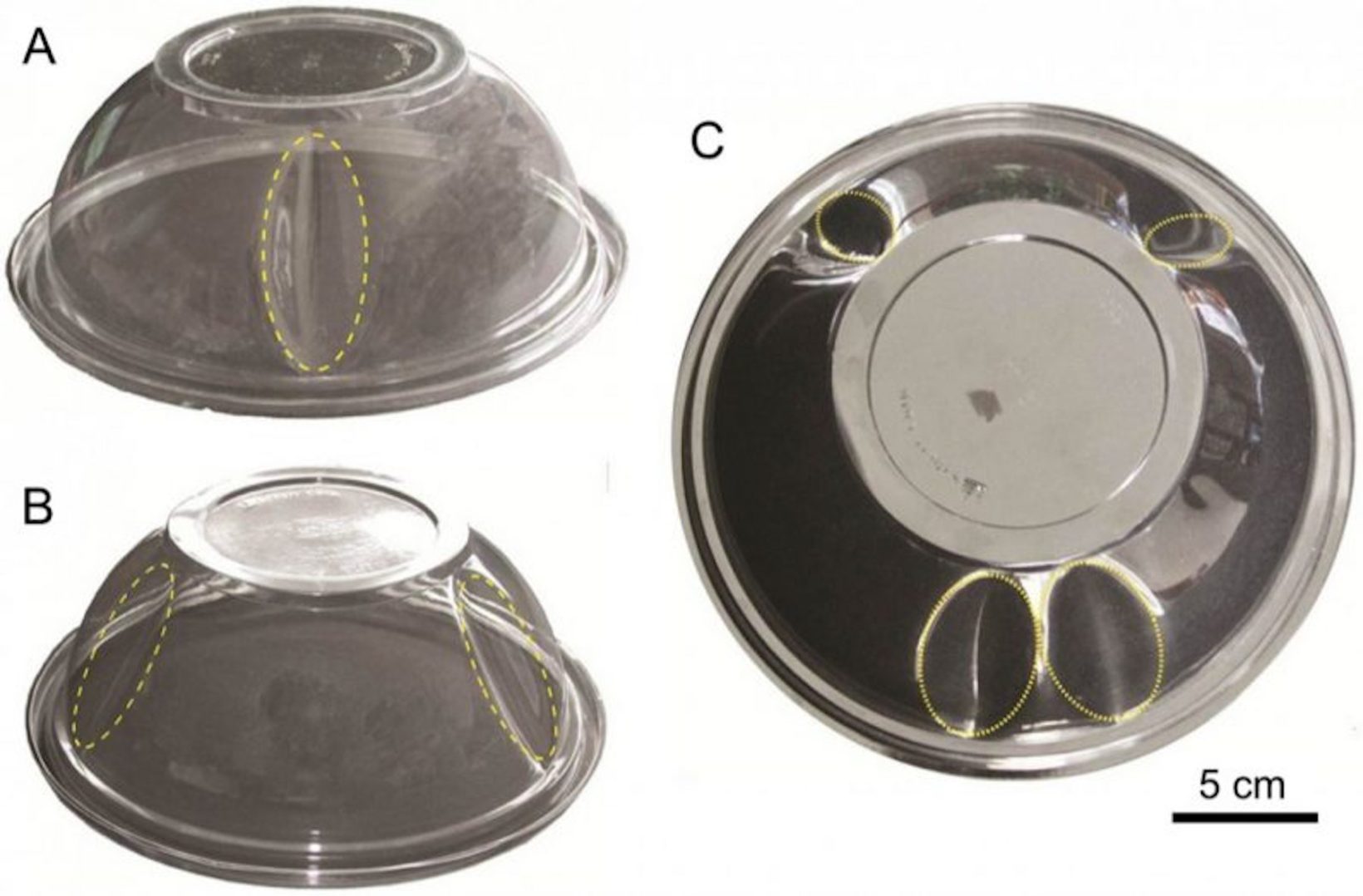 Con il braille riprogrammabile i libri per non vedenti saranno più accessibili Con il braille riprogrammabile i libri per non vedenti saranno più accessibili