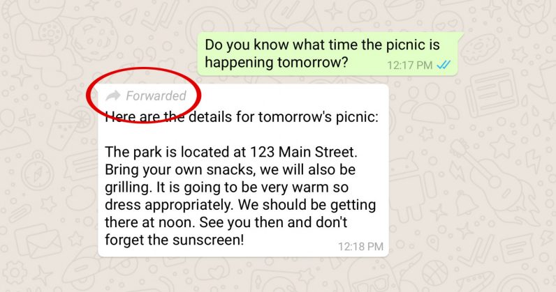 WhatsApp contro le fake news, ecco come le combatte WhatsApp contro le fake news, ecco come le combatte