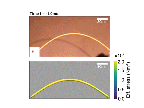 Scienziati del MIT hanno capito come spezzare sempre perfettamente gli spaghetti essiccati Scienziati del MIT hanno capito come spezzare sempre perfettamente gli spaghetti essiccati