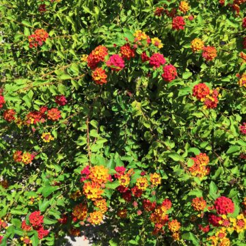 Recensione Honor 10, il top di gamma più economico