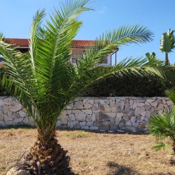 Recensione Oppo Find X, lo smartphone Android con l’anima dentro