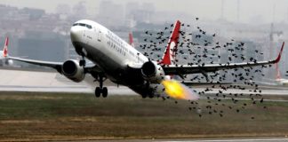 In arrivo i droni anti uccelli negli aeroporti