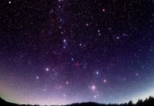 Notte di San Lorenzo, le migliori app per scrutare il cielo e cercare le stelle cadenti