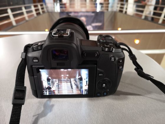 Prime impressioni Canon EOS R