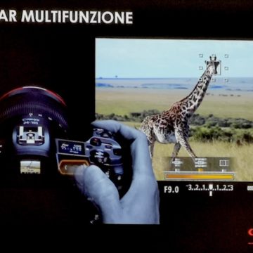 Canon EOS R è la nuova mirrorless di Canon ma anche un sistema per i prossimi 30 anni