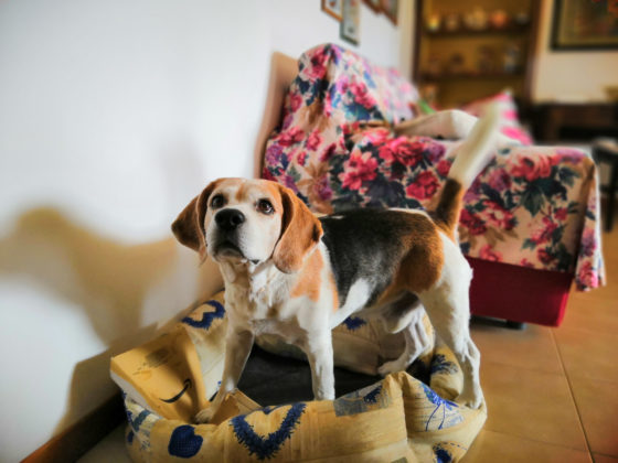 Recensione Honor Play, il medio gamma per giocare