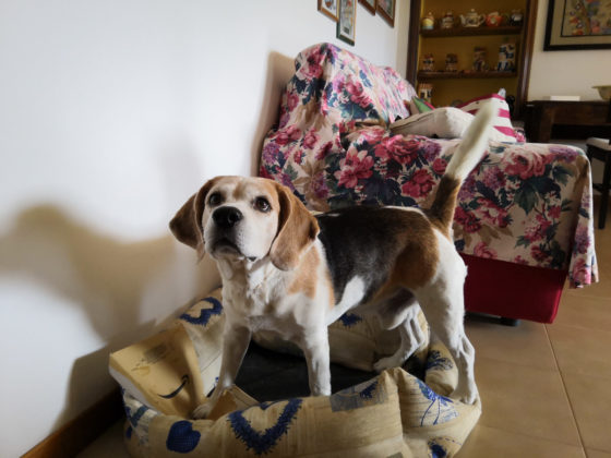 Recensione Honor Play, il medio gamma per giocare