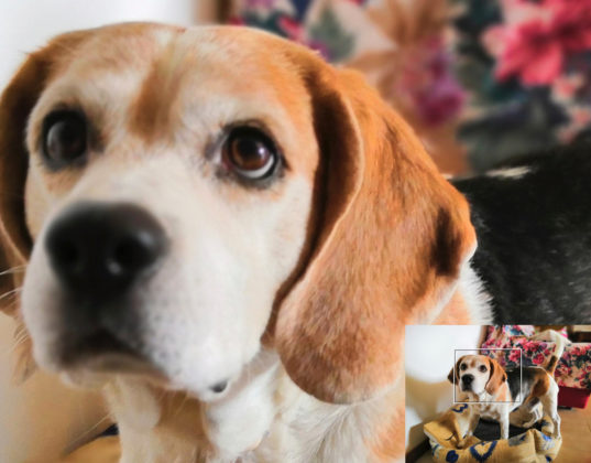 Recensione Honor Play, il medio gamma per giocare