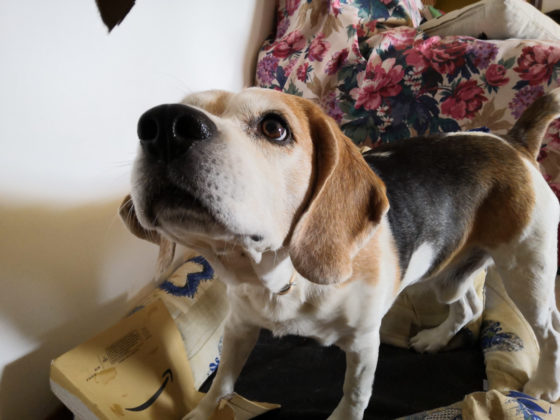 Recensione Honor Play, il medio gamma per giocare