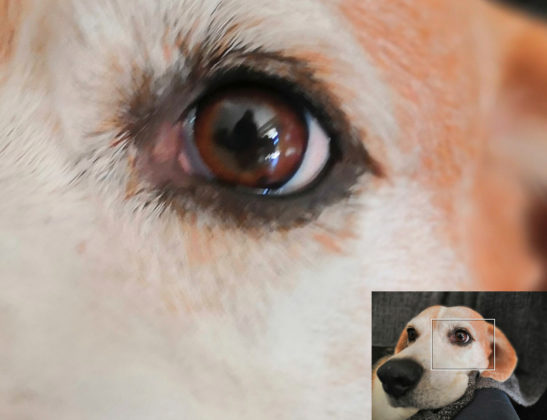 Recensione Honor Play, il medio gamma per giocare