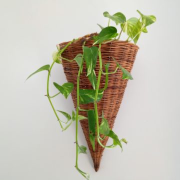 Oukitel WP2, il carro armato degli smartphone con autonomia infinita