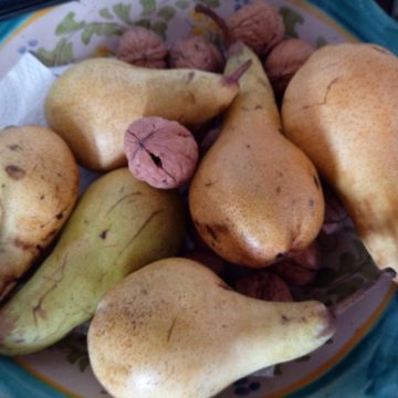 Oukitel WP2, il carro armato degli smartphone con autonomia infinita