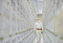 Intel vuole dividere in tre il settore produttivo: alcuni chip li costruirà TSMC Intel vuole dividere in tre il settore produttivo